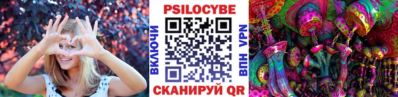 darknet телеграм  Ардатов  Псилоцибиновые грибы мицелий 